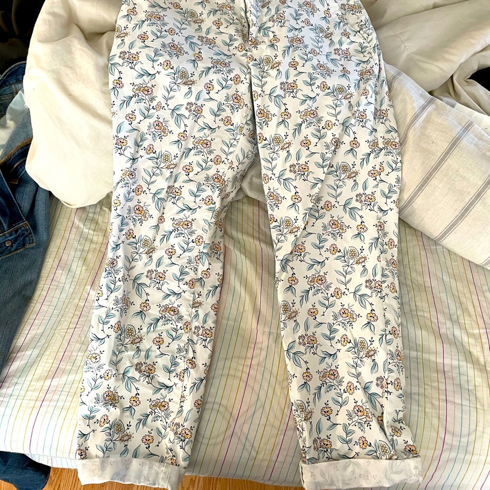 Loft pants